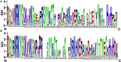 Deciphering Evolutionary Dynamics of WRKY I Genes in Rosaceae Species